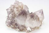Cactus Quartz (Amethyst) Crystal Cluster - South Africa #206259-2